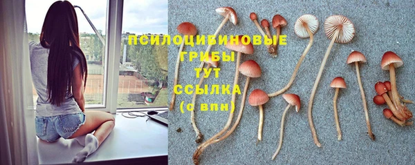 Альфа ПВП Алзамай