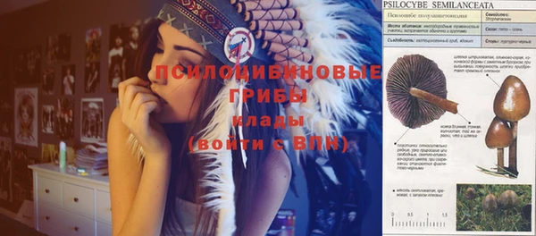 Альфа ПВП Алзамай