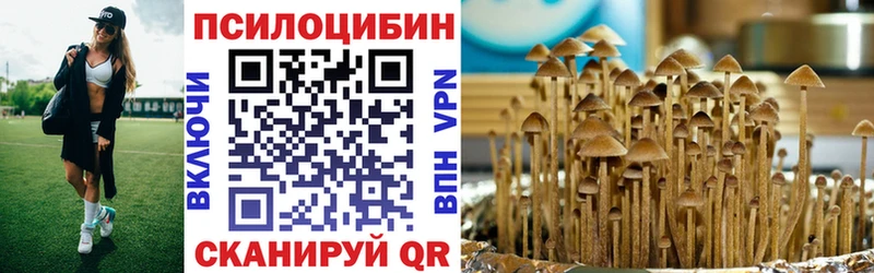 Галлюциногенные грибы Cubensis  Красновишерск 